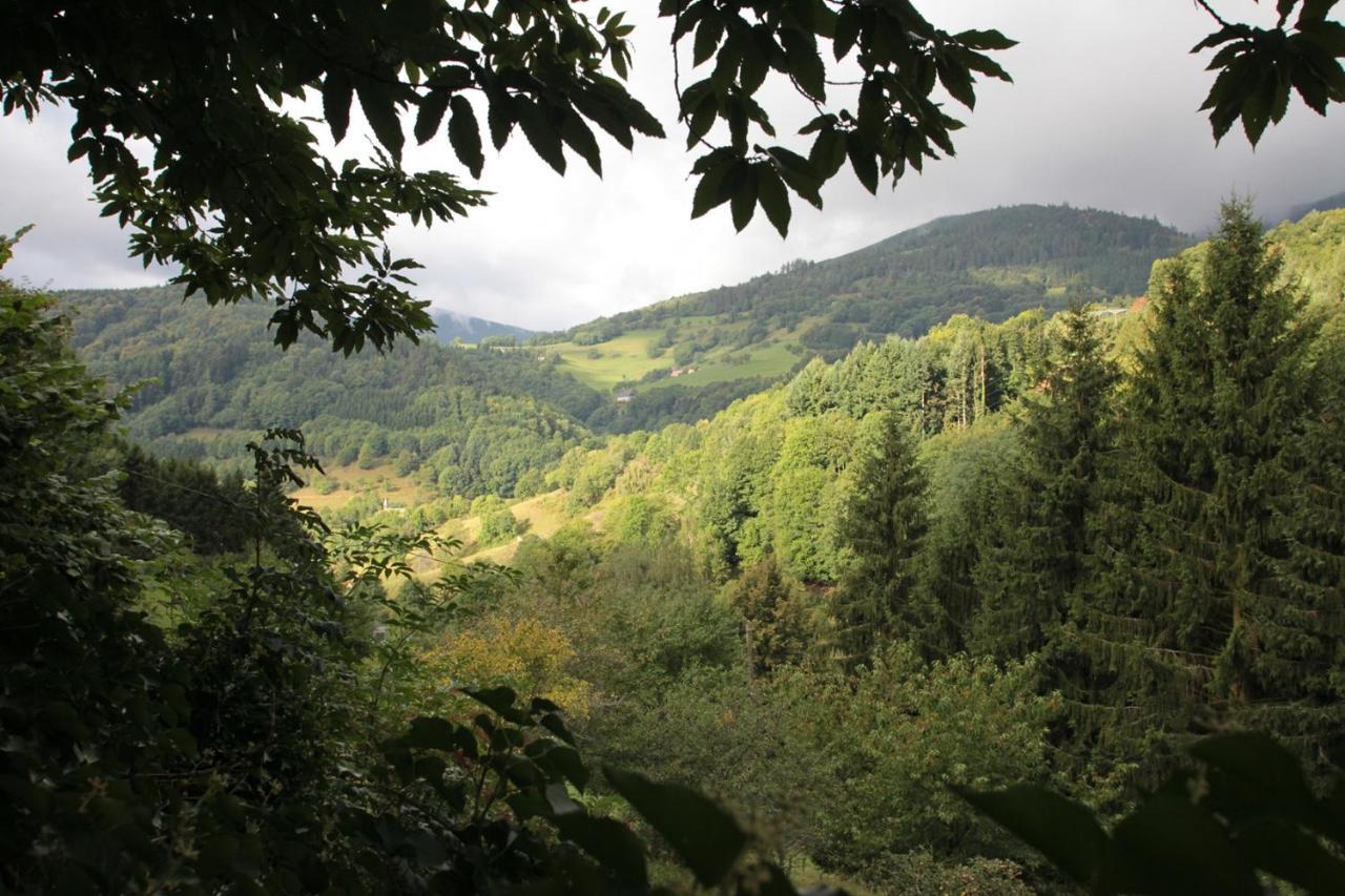 Fréland La Haute Grange Gites De Charme En Alsace מראה חיצוני תמונה